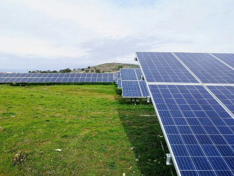 El Efecto Colateral de la Solar en el Mercado Eléctrico: ¿Cómo la Electricidad Barata Amenaza la Rentabilidad de los Parques Fotovoltaicos?