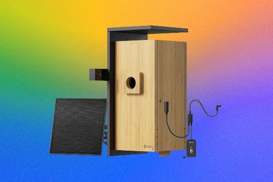 Birdfy Nest Duo Review: My Own Private Nature Documentary