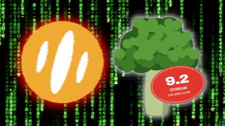 Angreifer nehmen Brotli-, Adobe-Commerce- und Magento-Lecks ins Visier