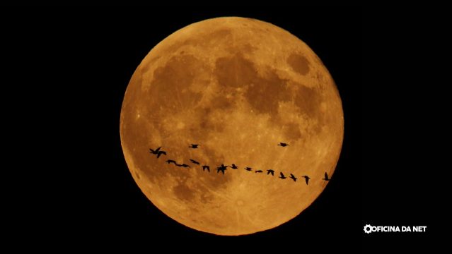 Qual a fase da Lua hoje: sexta-feira, 5 de junho de 2026