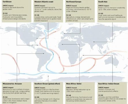 Preparando-se para o Risco de Colapso da Circulação Meridional de Revolvimento do Atlântico (AMOC): Uma Análise Profunda