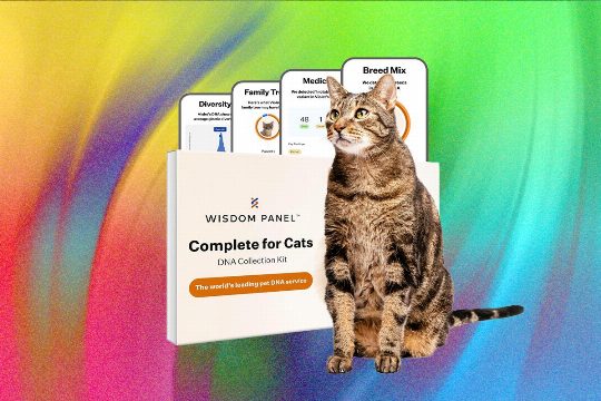 What’s the Best Pet DNA Test? We Tested the Most Popular Ones