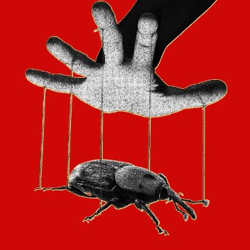 The PHP Meltdown Shows How AI Makes Bugs More Exploitable