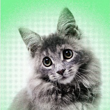 AI Slop Is Ruining Cute Animals on the Internet