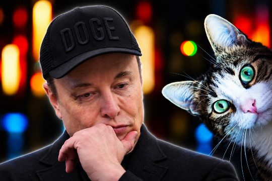 Tesla y la Detección de Animales en la Noche: Un Enfoque Detallado