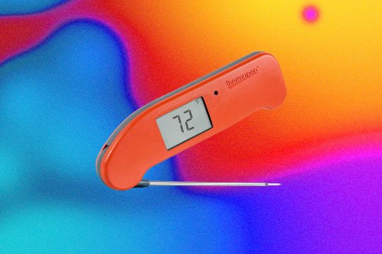 The Best Kitchen Gadget to Prevent Salmonella Is a Good Meat Probe