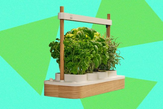 Auk Mini 2 Indoor Smart Garden Review: Better Where It Counts