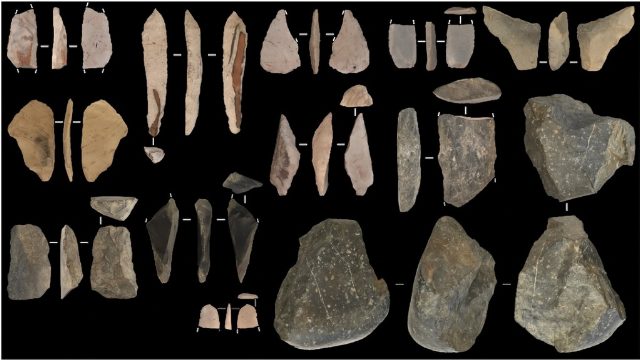 El Eslabón Perdido de Beringia: Cazadores de Bisontes que Cruzaron de Asia a América hace 13.800 años