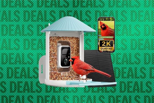 Top Smart Bird Feeders for Early Black Friday Deals (2026)