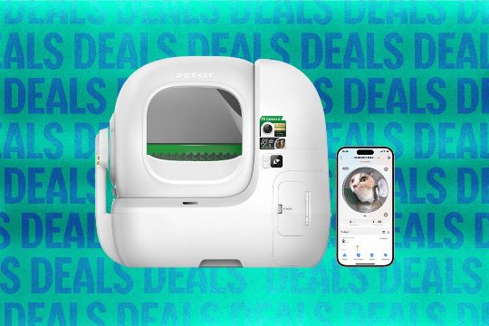 Petkit Automatic Cat Litter Box Sale (2026)