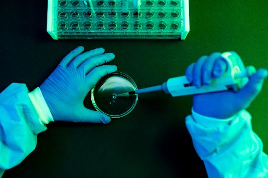 What to Know About Shamonda Virus Following the First Reported Human Infection