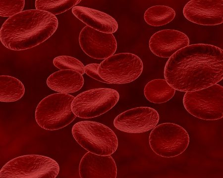 Azeite antes dos carboidratos: Redução de picos de açúcar no sangue em camundongos