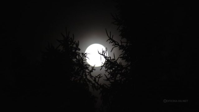 Qual a fase da Lua hoje: sábado, 6 de junho de 2026